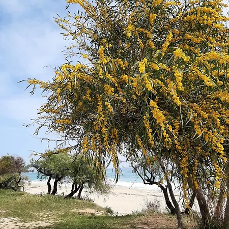 Nocleg ze śniadaniem Casale Diletta