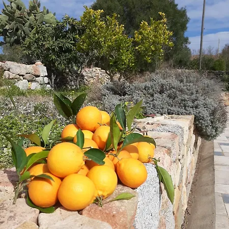 Casale Diletta 3* Castiadas