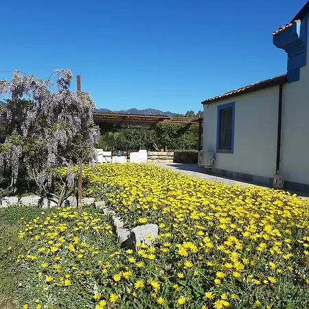 Nocleg ze śniadaniem Casale Diletta