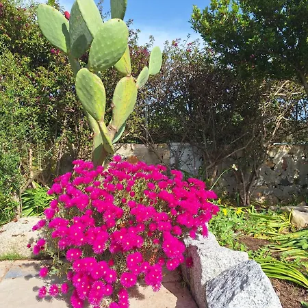 Casale Diletta Nocleg ze śniadaniem Castiadas