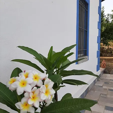 Casale Diletta