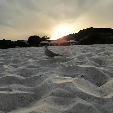 Nocleg ze śniadaniem Casale Diletta