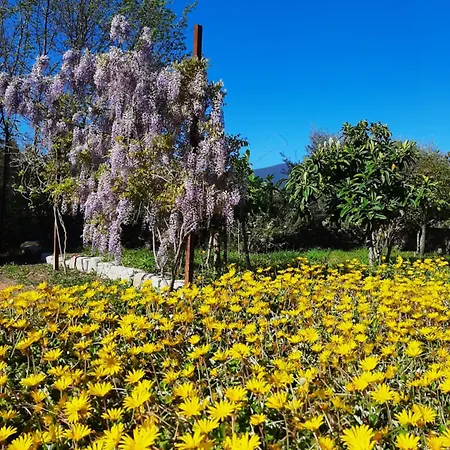 Bed & Breakfast Casale Diletta *