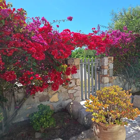 Bed & Breakfast Casale Diletta