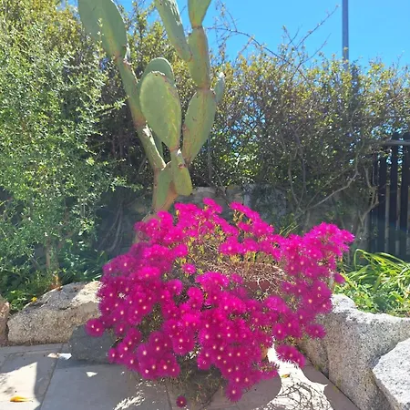 Casale Diletta Bed & Breakfast Castiadas