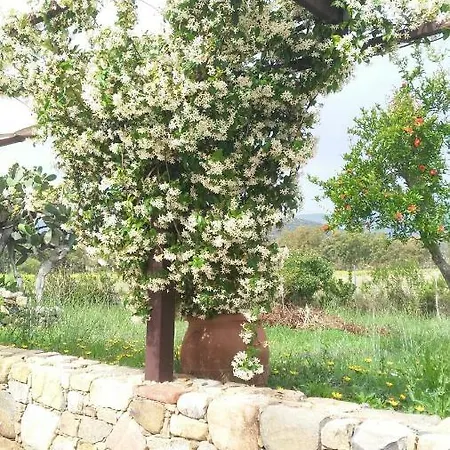 Casale Diletta Castiadas