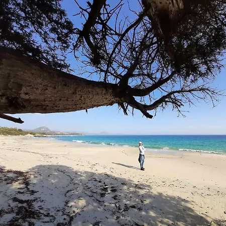 Casale Diletta Castiadas