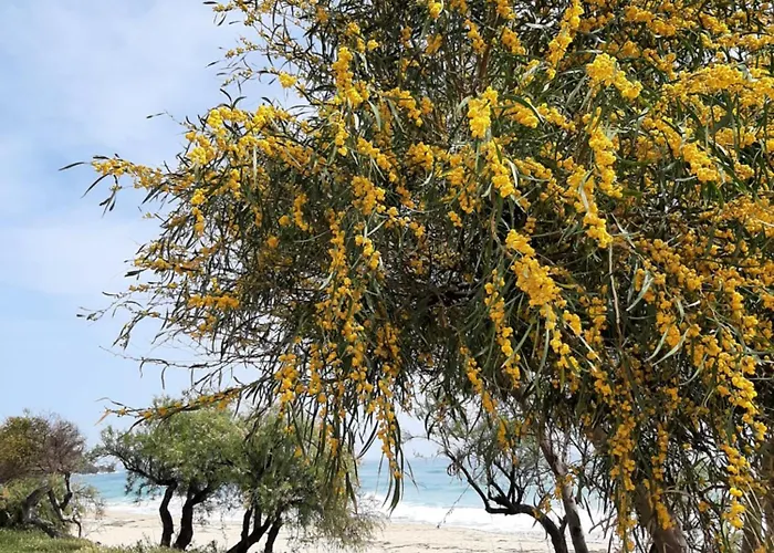 Bed and Breakfast Casale Diletta