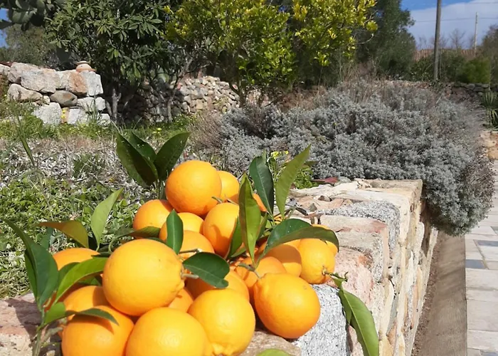 Casale Diletta 3* Castiadas