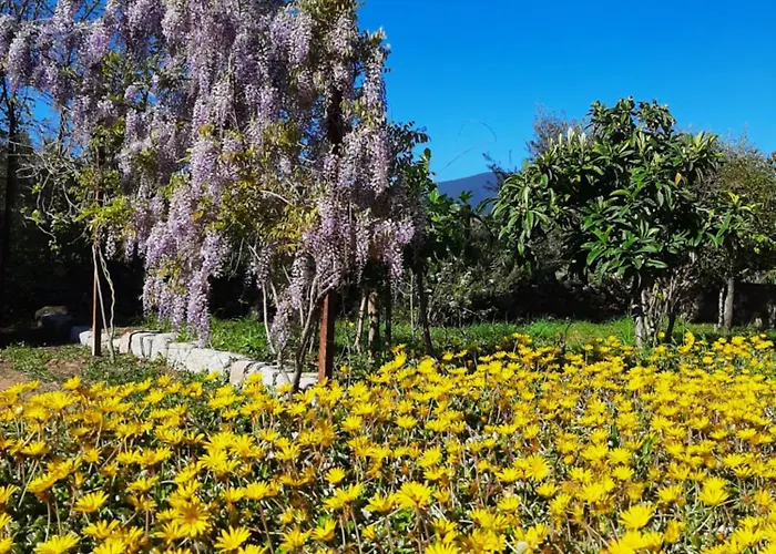 Bed and Breakfast Casale Diletta 3*