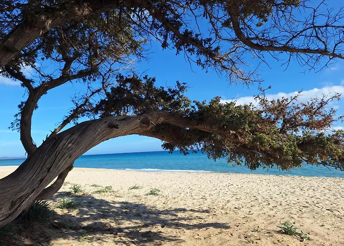 Casale Diletta Bed and Breakfast