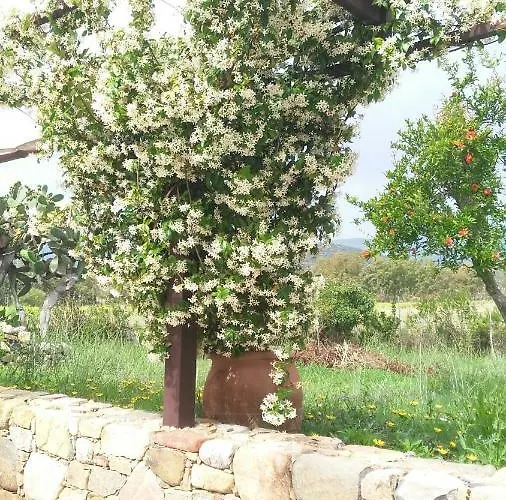 Casale Diletta Castiadas