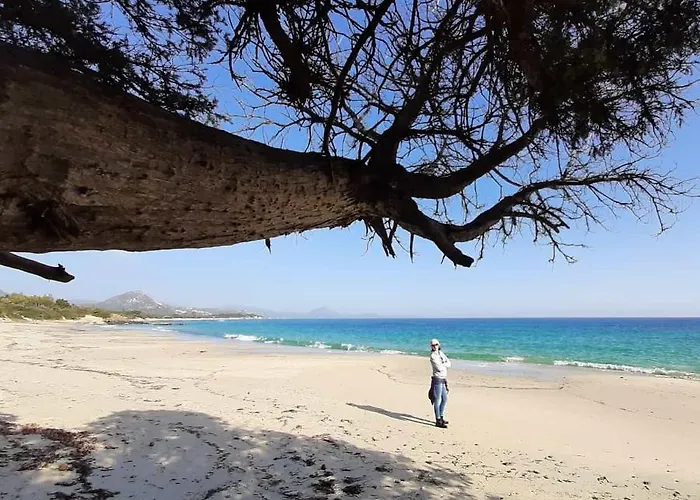 Casale Diletta Castiadas